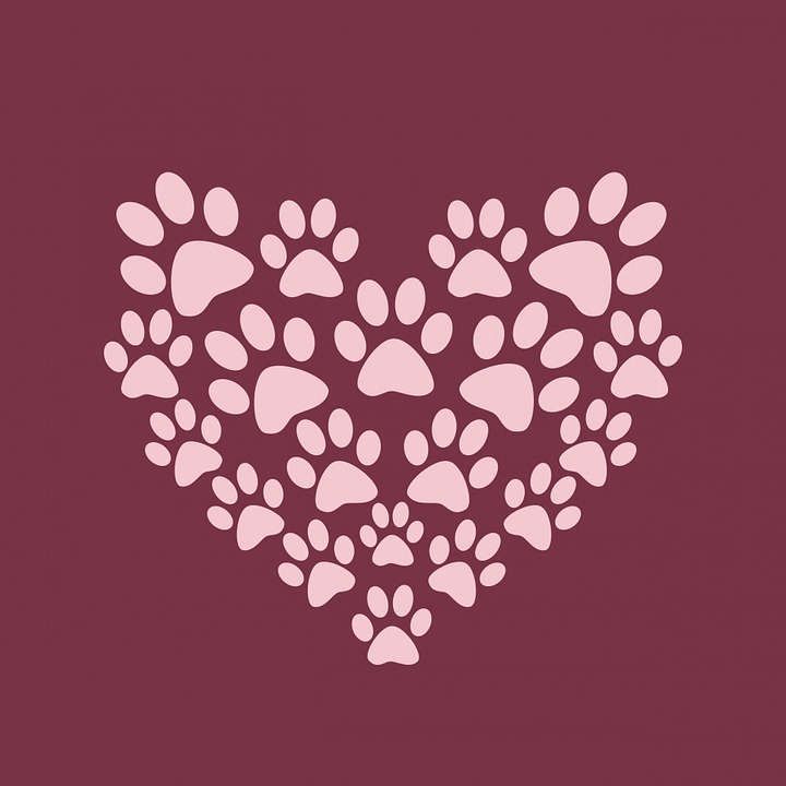 11 01 2020 paw print